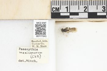 Media type: image;   Entomology 777341 Aspect: Labels